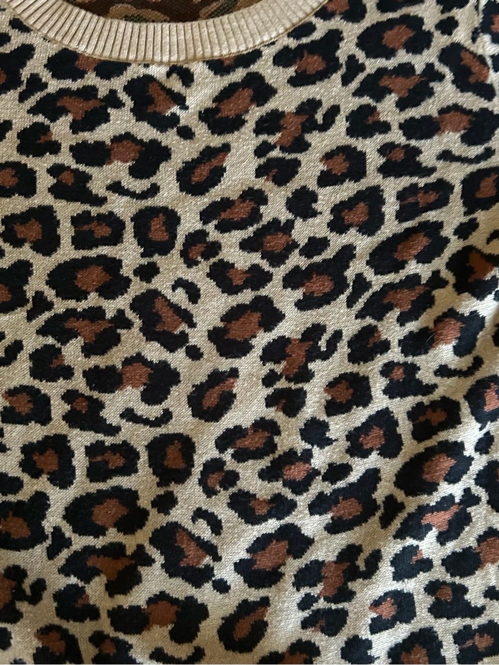 4 for $15✨Express Leopard Print Crewneck Sweater - Cream, Brown & Black - Picture 2 of 4